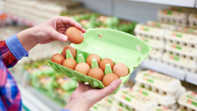 Россельхознадзор разрешил поставки яйца с 6 турецких предприятий